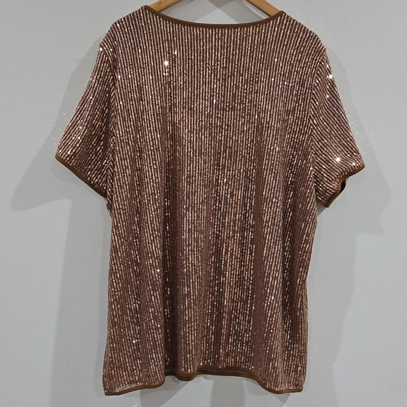 Womens Blouse 3XL Plus Brown Gold Sequin Mesh Striped V-Neck Short Sleeve - Picture 6 of 6